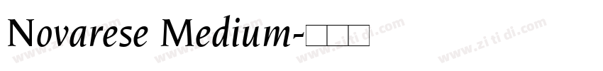 Novarese Medium字体转换